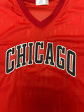 CHICAGO Mesh Short Sleeve Tee