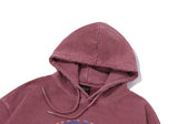 EXPLORE BUNNY Pigment Hoodie