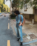 Flood cat brush western denim shirt