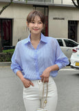 Lentive See-Through Striped Shirt