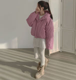 Matte Hood High-Neck Short Padding