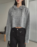 Fran Soft Wool Crop Knit Hoodie