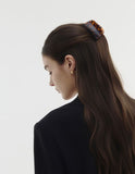 Half Shell Hair Claw Clip