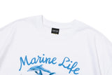 DTP Marine Dolphin Short Sleeve Tee