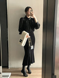 Seldin Velvet See-Through Dot Blouse