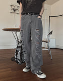 Logan Destroyed Pig Denim Pants