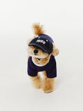 Wave Logo Puppy Ball Cap