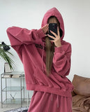 Riel Embroidered Pigment Hoodie