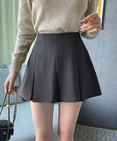 Flo Span Mini Pleated Skirt Pants