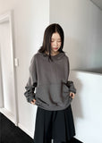CROP TURTLE HOODIE