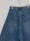 741 Catwashing Bermuda Denim Pants