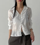 [Long sleeve ver.] Dani see-through V-neck blouse