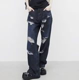 (Unisex) Teren Damage Pants