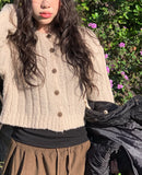 Aring Boucle Knit Ribbed Crop Cardigan