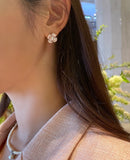 Arel Pearl Cubic Earrings