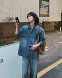 Flood cat brush western denim shirt