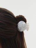 Shell Point Hair Claw Clip