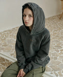 Indie Embroidered Snap Pigment Hoodie