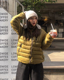 Shui earflap earmuffs