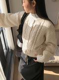 [Wool10] Tess Wool Warm Up Basic Inner Slim Turtleneck Long Sleeve T-Shirt