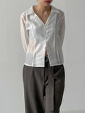 [Long sleeve ver.] Dani see-through V-neck blouse