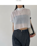 Haze Chiffon Tie Crop Blouse