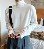 Cinnamon warmer turtleneck