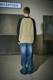 Hoppy Raglan Block Knit