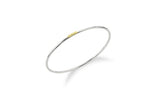 [Premium Plating] H Edition AB(W) Single Slip Bangle