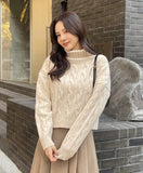 Jer Cable Turtleneck Crop Knit
