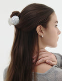Shell Point Hair Claw Clip