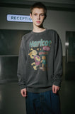 Harricott Pigment Sweatshirt