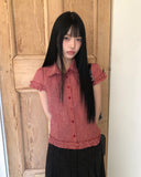 Delda check short-sleeve blouse