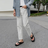 Lash Regular Pants