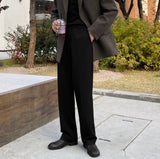 Dion brushed semi-wide slacks