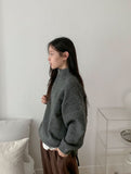 Nokyu Color Half Zip-Up Collar Wool Knit