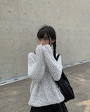 Sani mongle loose fit knit