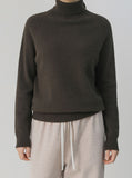 Noble Soft Turtleneck