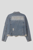 Vintage Crop Damage Denim Jacket