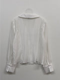 [Long sleeve ver.] Dani see-through V-neck blouse