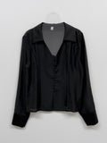 [Long sleeve ver.] Dani see-through V-neck blouse