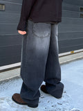 Lit Cat Washed Balloon Denim