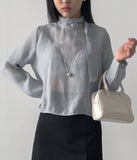 Sheer High Neck Tie Blouse