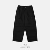 Swen Cargo Cotton Pants