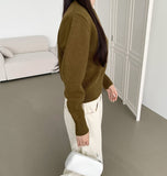 Basic Mid Season Semi Crop Knit