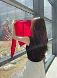 Even Banding Flare Long Skirt