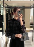 Mitchell Velvet See-Through Puff Blouse