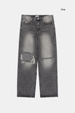 Freeze destroyed gray denim pants