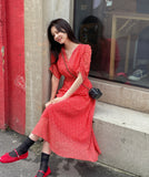 Heidi Zanflower Shirring Chiffon Long One Piece