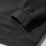 Predict Pigment Hoodie